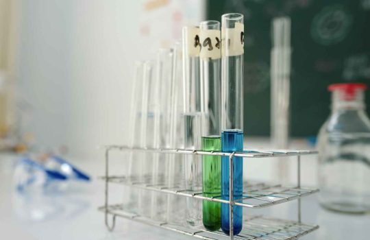 Company Specializing In Software Solutions For Plant Breeding & Variety Testing.2